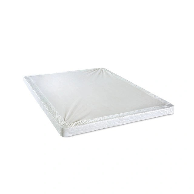 Bird Of Paradise 4"-Size Foundation