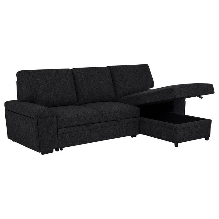 Demko Sleeper Sectional Sofa