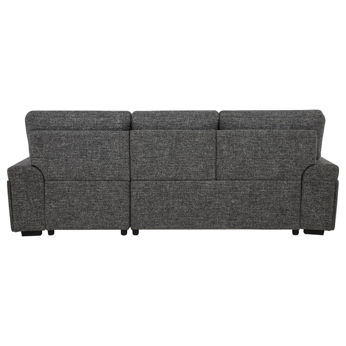 Demko Sleeper Sectional Sofa