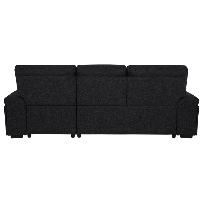 Demko Sleeper Sectional Sofa