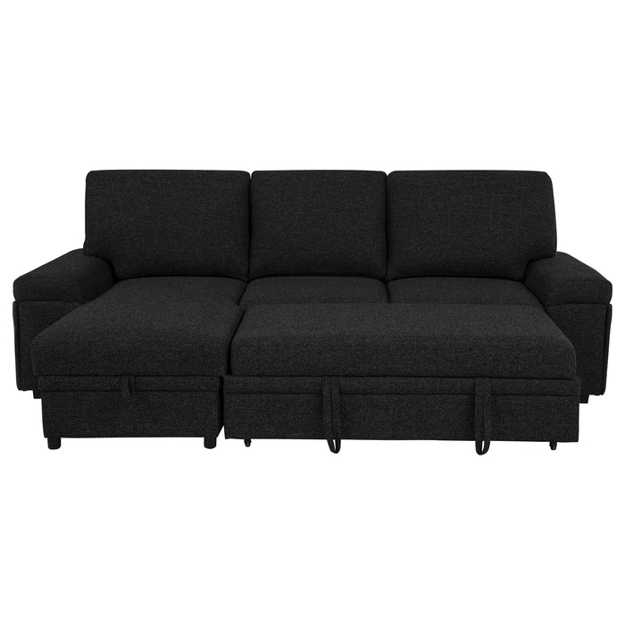 Demko Sleeper Sectional Sofa