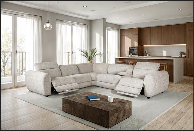Zander Power Sectional