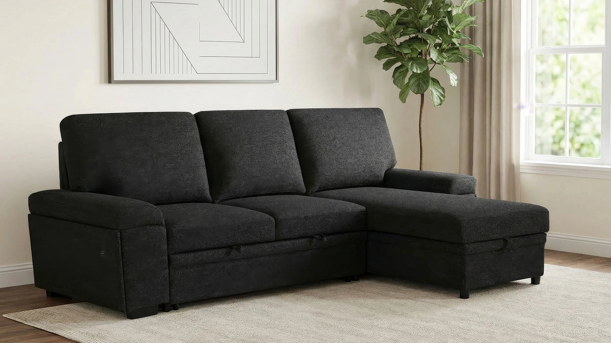 Demko Sleeper Sectional Sofa