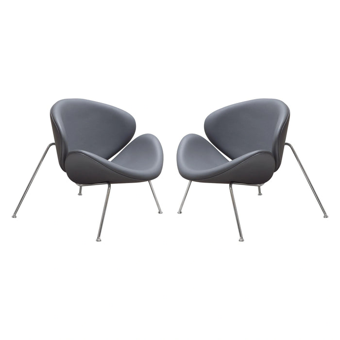 Set of (2) Roxy Accent Chair with Chrome Frame by Diamond Sofa - GREY