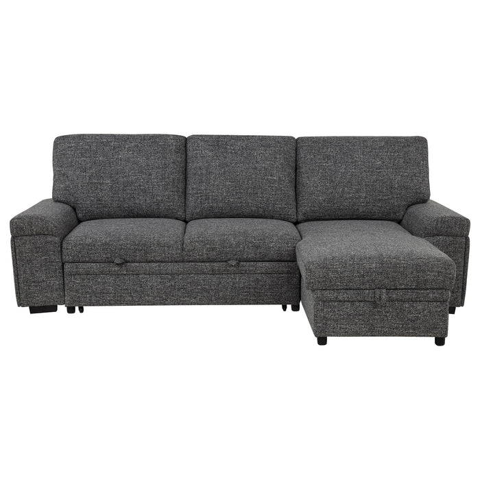 Demko Sleeper Sectional Sofa
