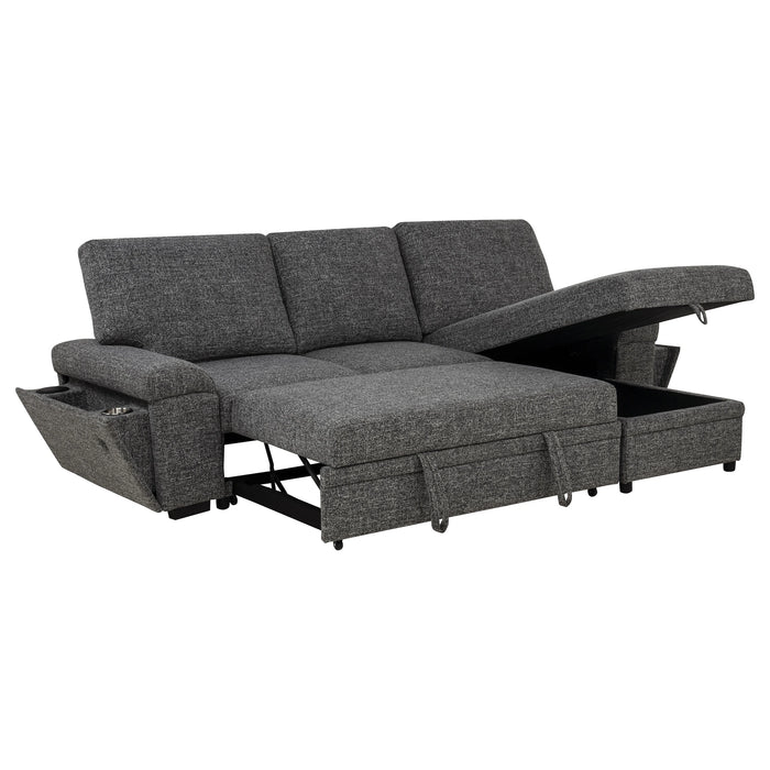 Demko Sleeper Sectional Sofa