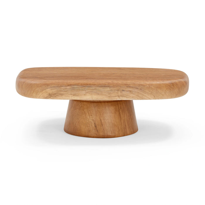 Darial 46" Indoor/Outdoor Coffee Table