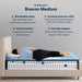 Classic Brecon 13.5" Medium Mattress -Twin XL