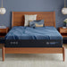 iSeries NXG 4500 13.5" Hybrid Plush Mattress image