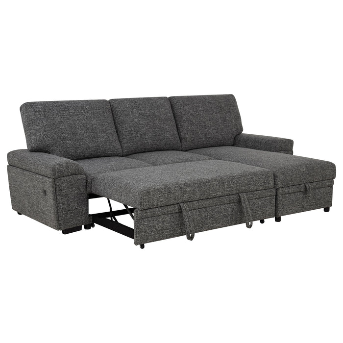 Demko Sleeper Sectional Sofa
