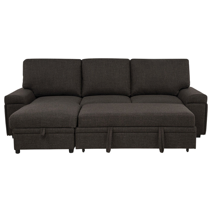 Demko Sleeper Sectional Sofa
