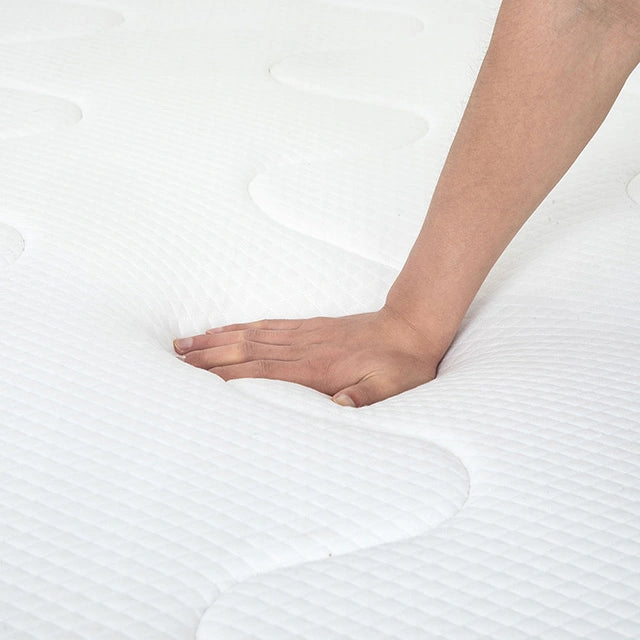 Catmint 10" Innerspring Mattress