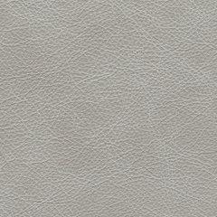 Amiata Upholstery Package - Home And Beyond