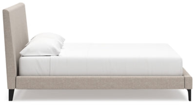 Cielden Upholstered Bed with Roll Slats - Home And Beyond
