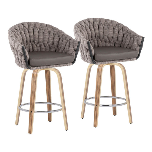 Braided Matisse Fixed-Height Counter Stool - Set of 2 image