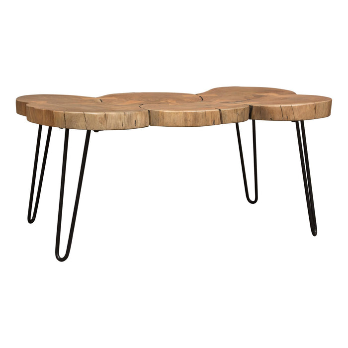 Joss Natural Acacia One of a Kind Live Edge Rectangle Cocktail Table w/ Black Hairpin Legs by Diamond Sofa