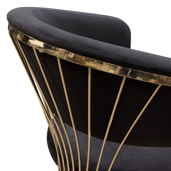 Solstice Dining Chair in Black Velvet w/ Polished Gold Metal Frame by Diamond Sofa