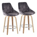 Diana Fixed Height Counter Stool - Set of 2 image