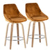 Diana Fixed Height Counter Stool - Set of 2 image