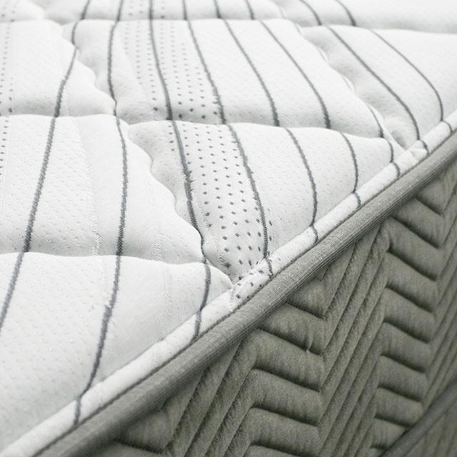 EDREA White/Gray 10" Tight Top Pocket Coil, Cal.King - Home And Beyond