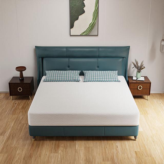 Forsythia 10" Green Tea Gel Memory Foam