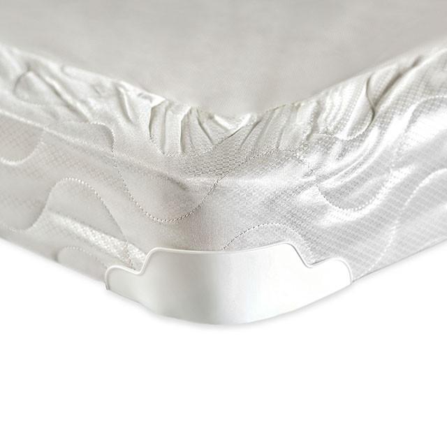 Bird Of Paradise 4" Foundation - Home And Beyond