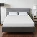 Artemisia 10" Memory Foam Mattress - Home And Beyond