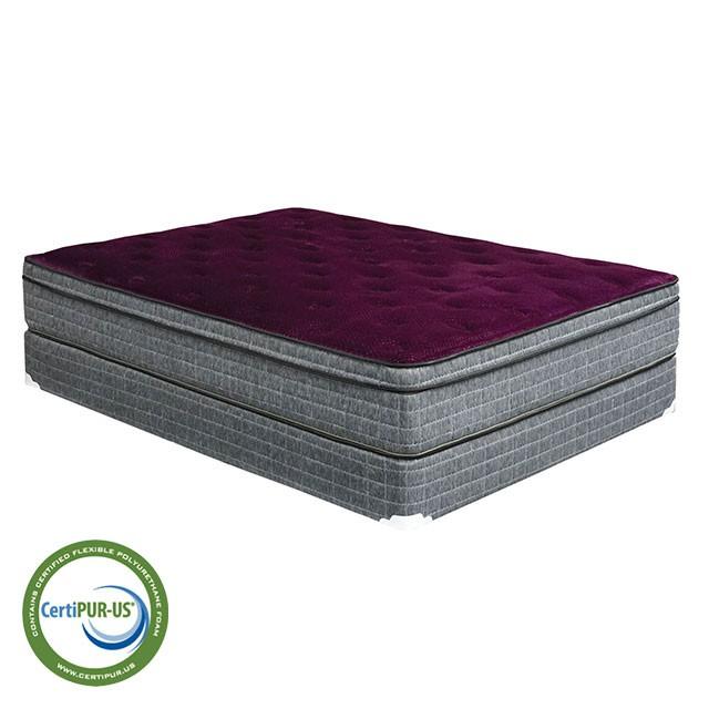 Purple/Grey 13" Euro Pillow Top Mattress Non-Flip, Full