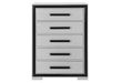Amelia Grey Black Chest