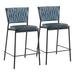 Braided Tania Counter Stool - Set of 2 image