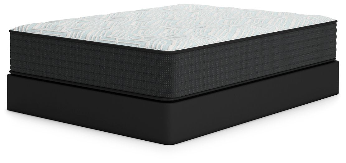 Palisades Plush Mattress - Home And Beyond