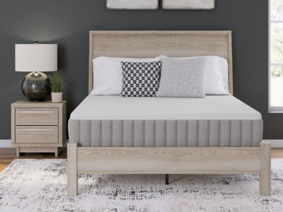 Terra Sleep Medium Mattress - Home And Beyond