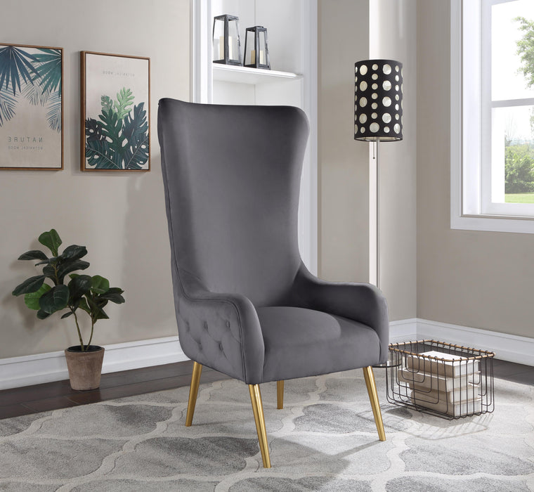 Alexander Grey Velvet Accent Chair