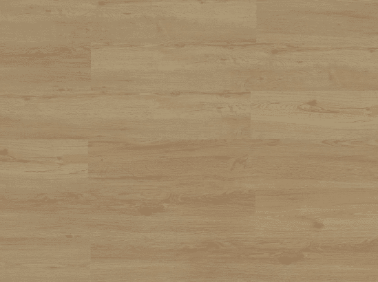 CARAMEL (Special Order)