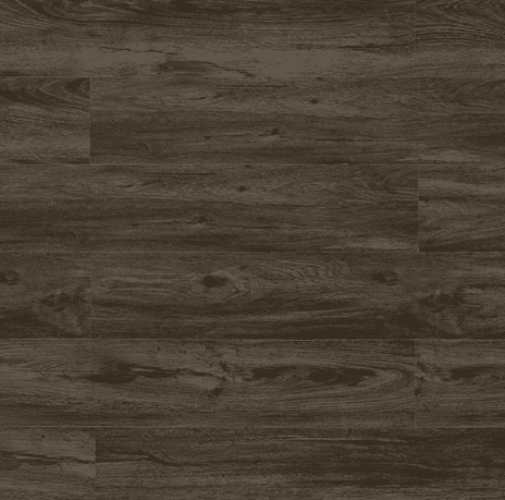 BLACK FOREST (Special Order)