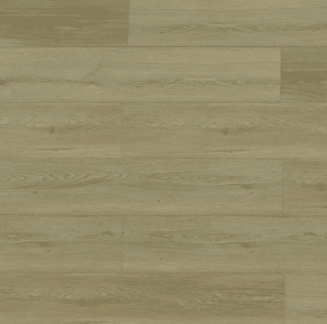 MADRID (Special Order)