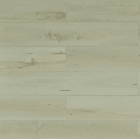 BELGRADE (Special Order)