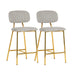 Ariana Grey Counter Stool Set of 2 image