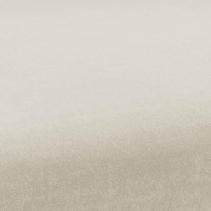 Kim Velvet Chair in Cream - UK - Home And Beyond