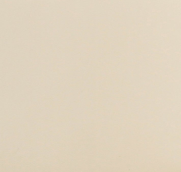 Leo Cream Performance Vegan Leather Dining Chair - Home And Beyond