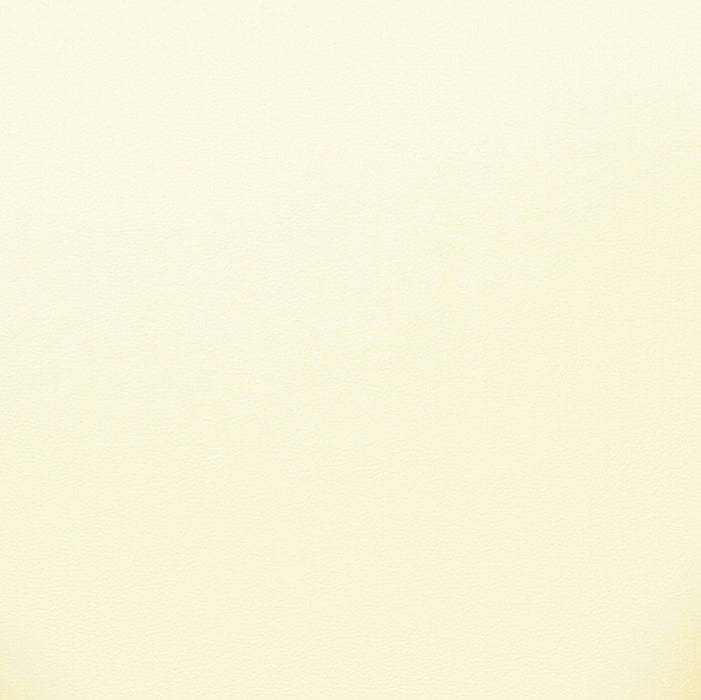 Sezanne 2-Tone Performance Vegan Leather Dining Chair - Home And Beyond