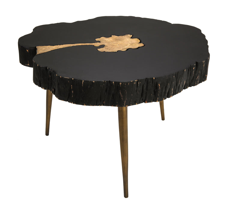 Timber Black and Brass Coffee Table image