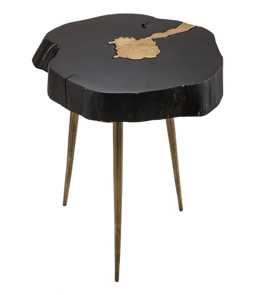 Timber Black and Brass Side Table image