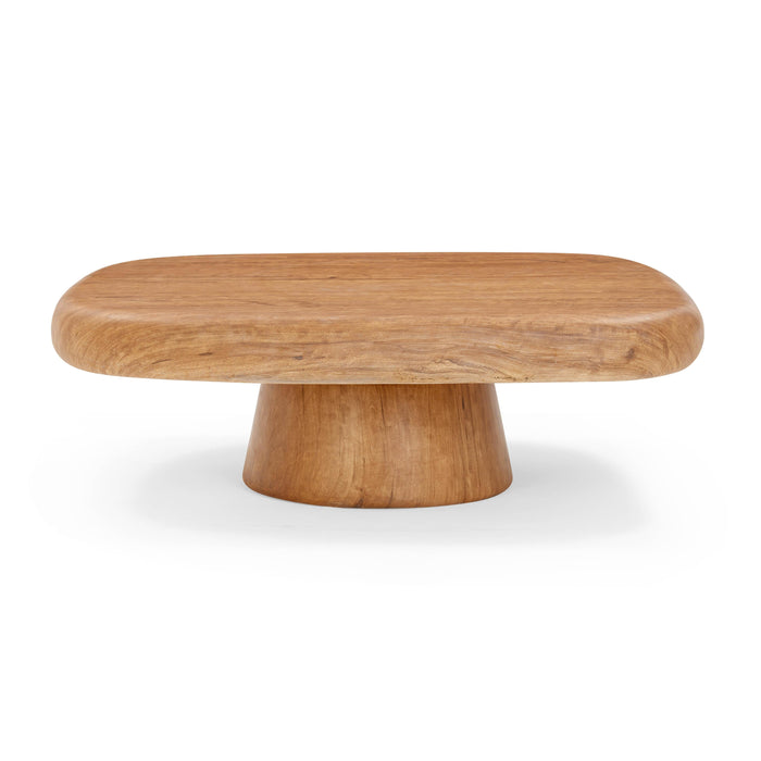 Darial 46" Indoor/Outdoor Coffee Table - Home And Beyond
