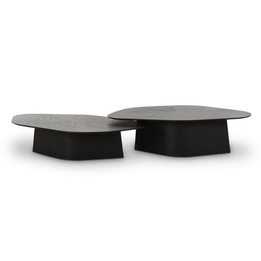 Roche 2-Piece Ash Nesting Coffee Table Set - Home And Beyond
