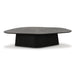 Roche Black Ash Low Coffee Table - Home And Beyond