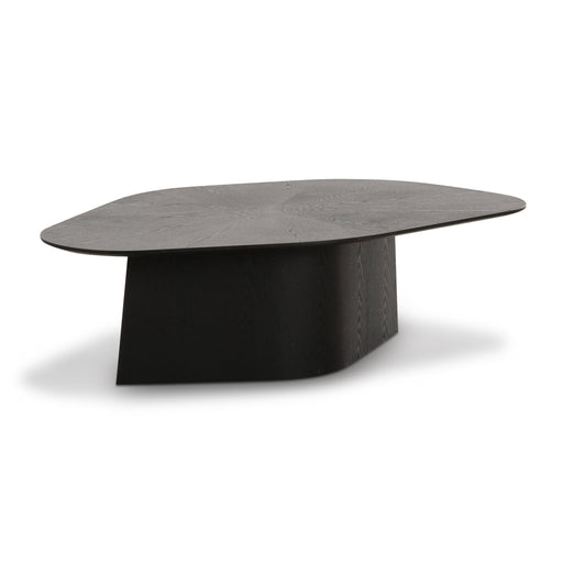 Roche Black Ash Geometric Coffee Table - Home And Beyond