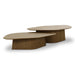 Roche 2-Piece Ash Nesting Coffee Table Set - Home And Beyond
