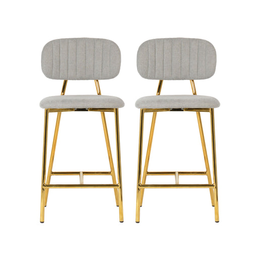 Ariana Grey Counter Stool Set of 2 image