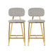 Ariana Grey Counter Stool Set of 2 image